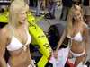 Pitbabes GIRLS 2005